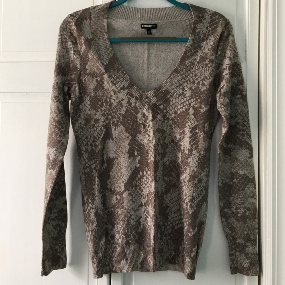 Express Sparkly Brown Sweater