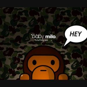 Meet your Posher, Leo