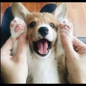 Meet your Posher, Breann