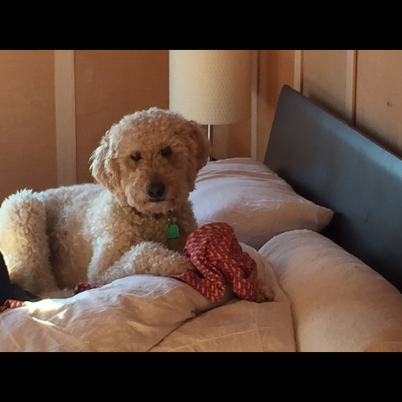 Meet your Posher, Rebecca - Picture 2 of 4