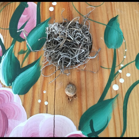 🕊🌸Calling All Bird Lovers!🕊🌸 - Picture 4 of 4