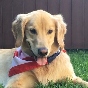 Meet your Posher, Robert