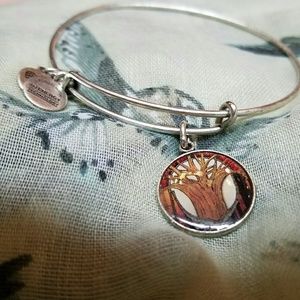 Silver Enamel Bracelet