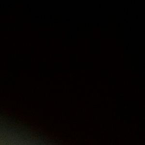 Meet your Posher, Sunny