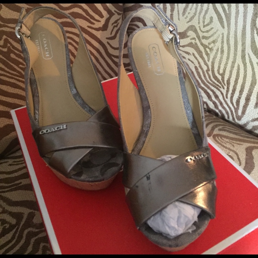 Silver coach shoes