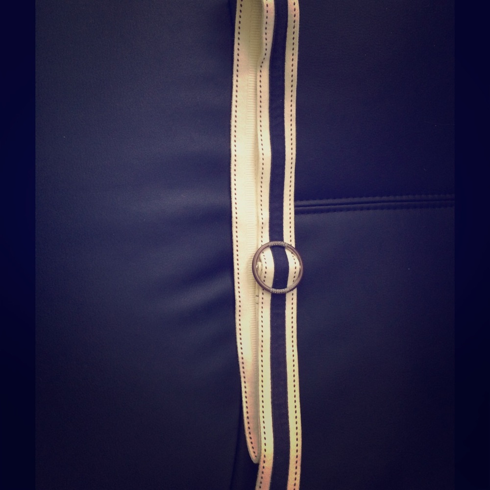 Hollister Belt