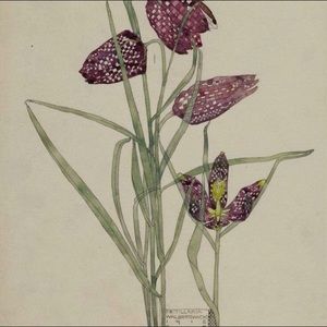 Meet your Posher, Pamela