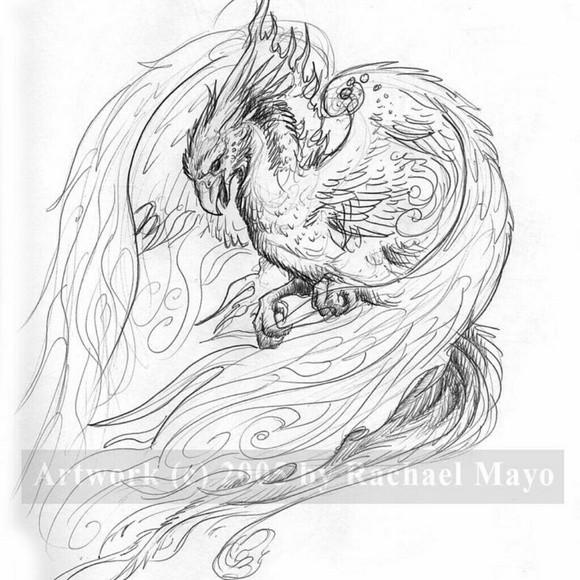 Meet your Posher, Cassidy - Picture 1 of 1