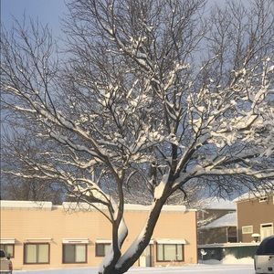 Meet your Posher, Noor