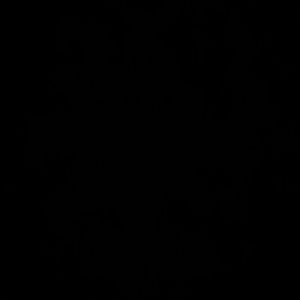 Meet your Posher, Tamaron