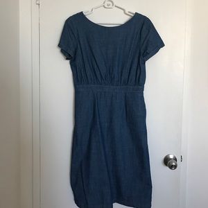 Clad and Cloth Jean Dress