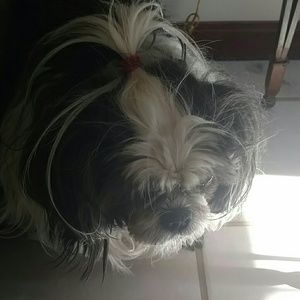 Meet your Posher, Marilyn