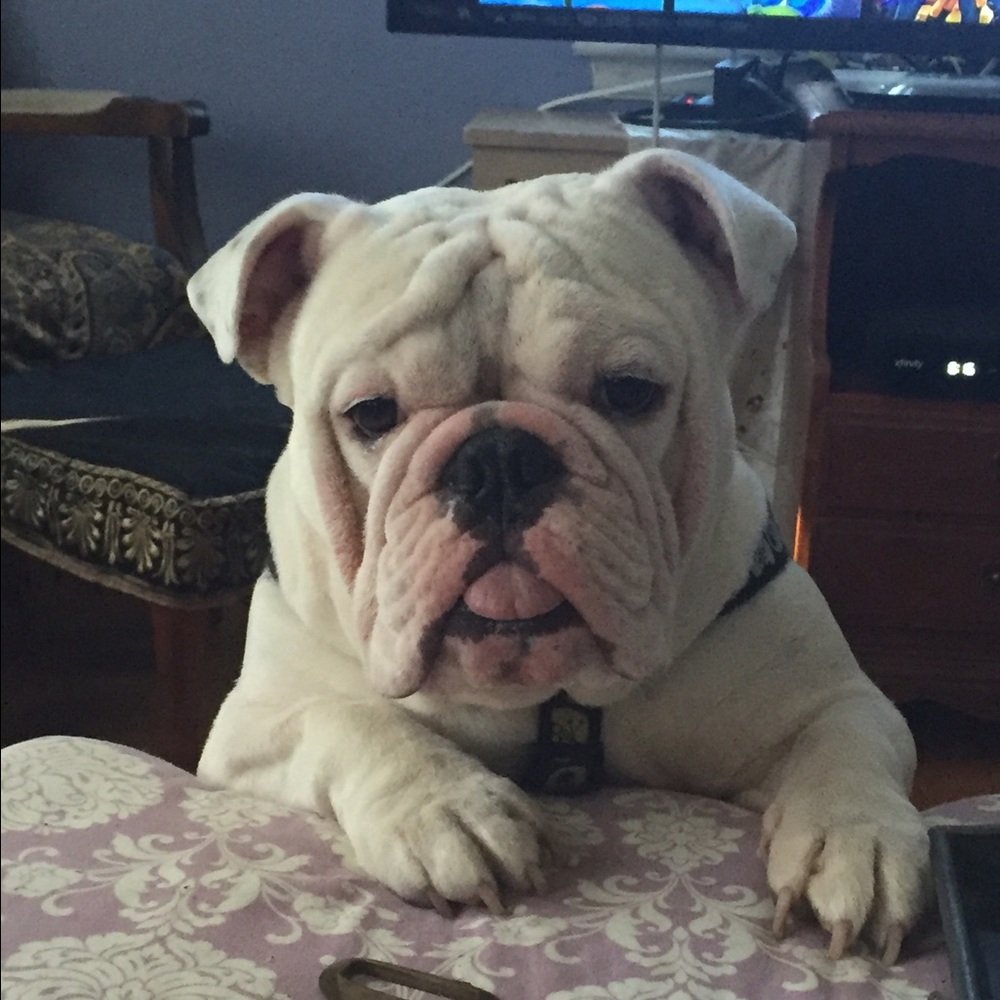 Meet your Posher, Tammy