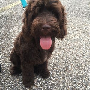 Meet your Posher, Kristy