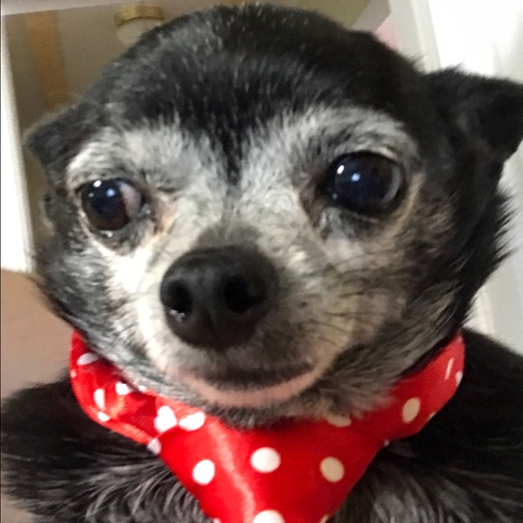 Meet your Posher, Tammy - Picture 1 of 1