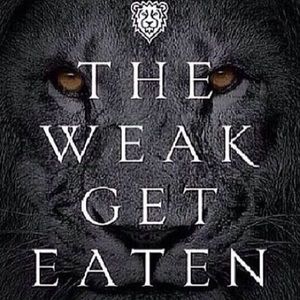 Meet your Posher, Jayson