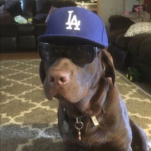 Meet your Posher, John