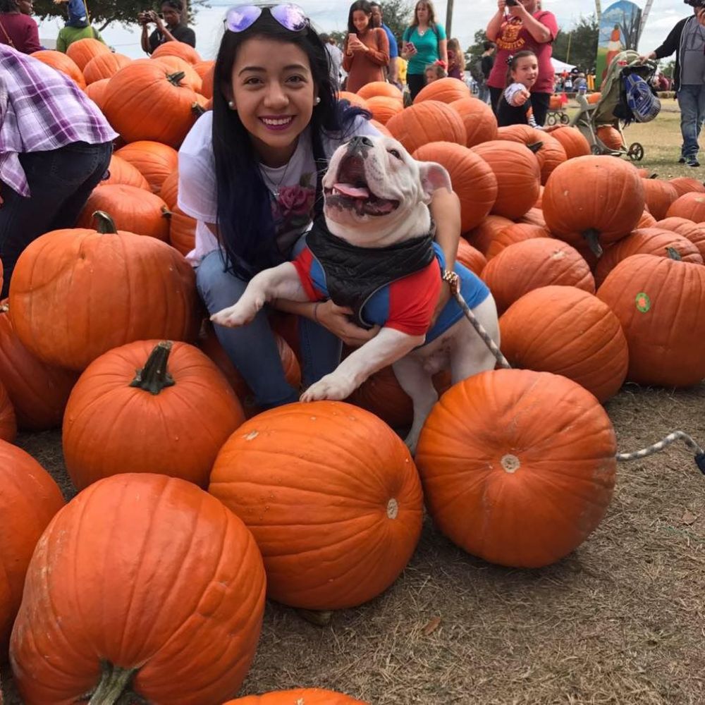 Meet your Posher, Evelyn