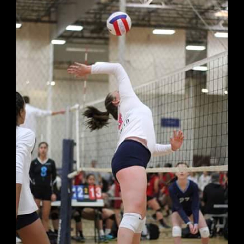 Meet your Posher, Sydney