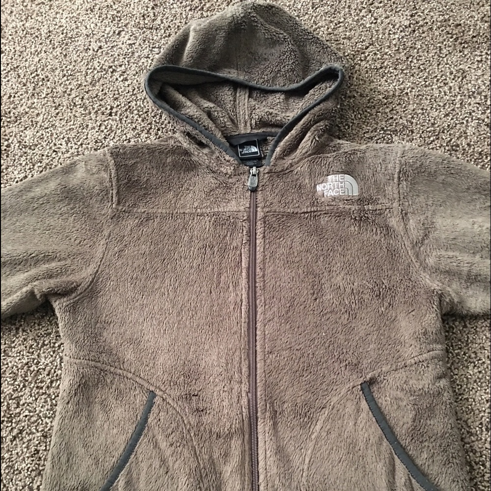 The NorthFace Sherpa fleece zip up hooded jacket.