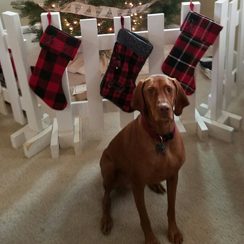 Meet your Posher, Kelsey