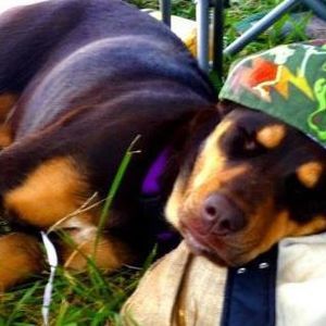 Meet your Posher, Chel