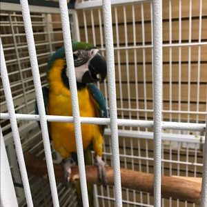 Meet your Posher, Tony