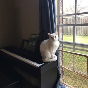 Meet your Posher, Kathryn