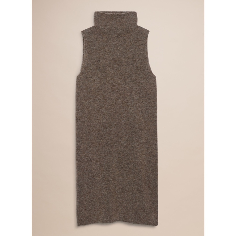 Aritzia Moldovan dress