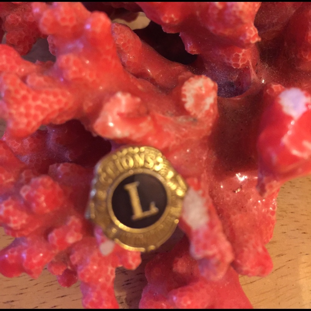 Collectable Lion international pin