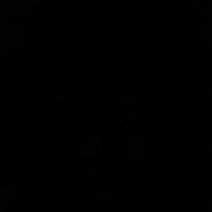 Meet your Posher, Rhonda