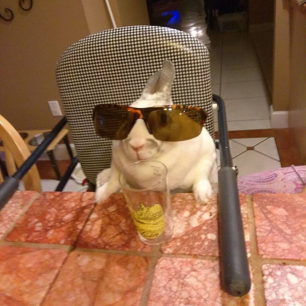 Meet your Posher, Corinne