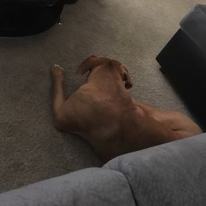 Meet your Posher, Anna