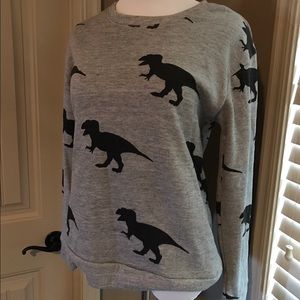 Dino sweatshirt!