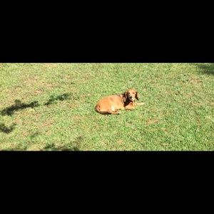 Meet your Posher, Ginny