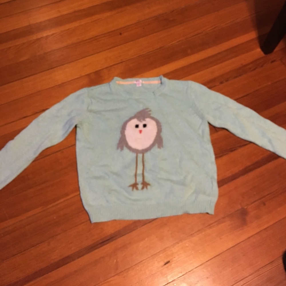 Adorable mint green bird sweater