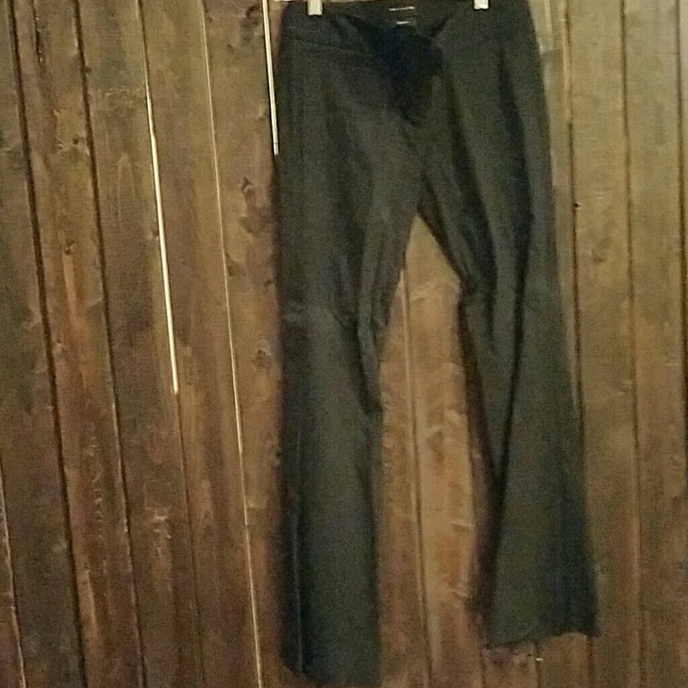 Limited drew fit reg