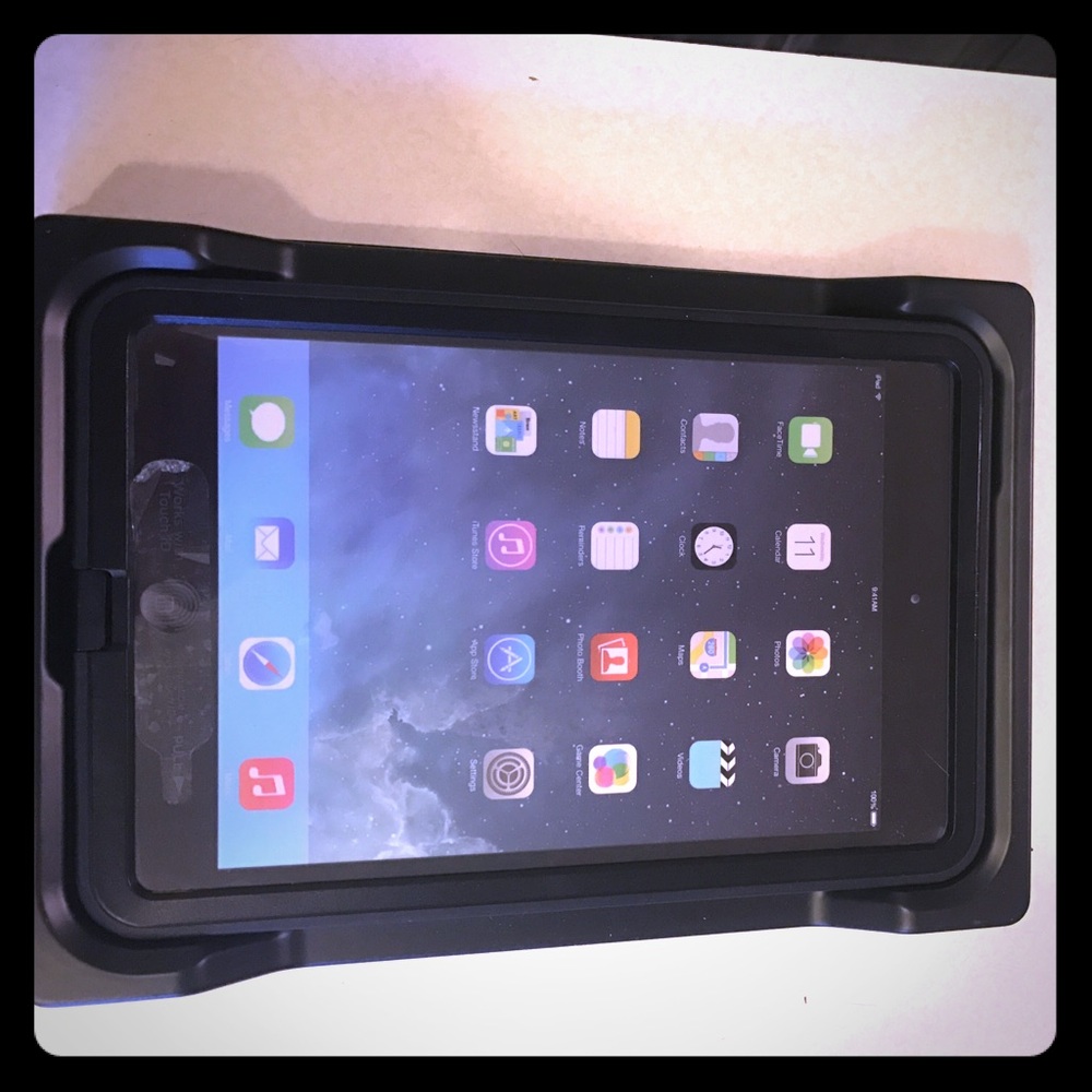 iPad mini lifeproof case.