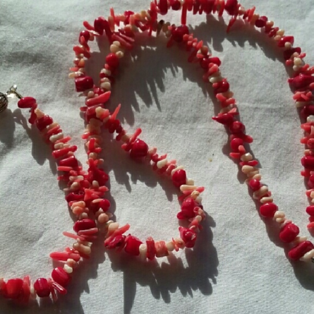 Coral and shell necklace