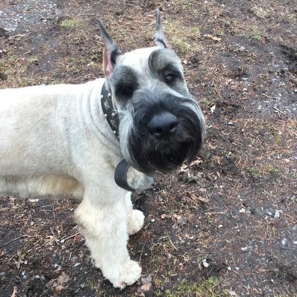 About Me..... - Picture 3 of 8