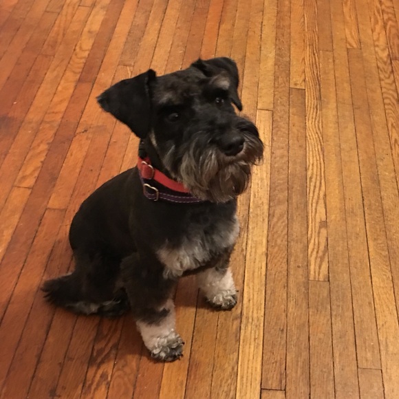 About Me..... - Picture 4 of 8