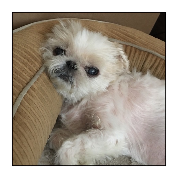 About Me..... - Picture 8 of 8