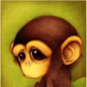 Meet your Posher, Jalil