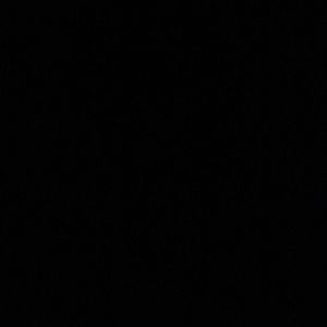 Meet your Posher, Starr