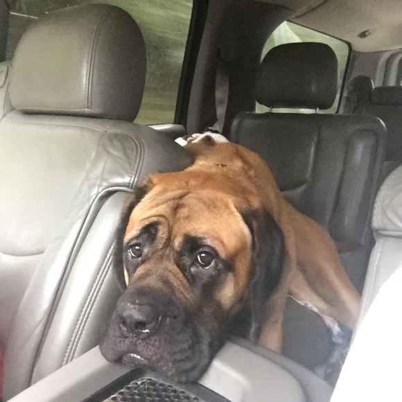 Meet your Posher, Jennifer - Picture 6 of 7