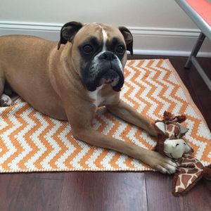 Meet your Posher, Sonya