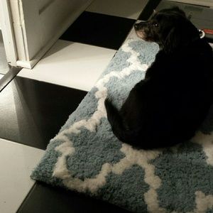 Meet your Posher, Jeanie