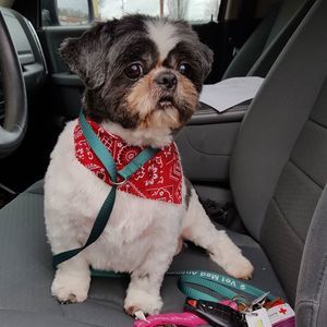 Meet your Posher, Anne