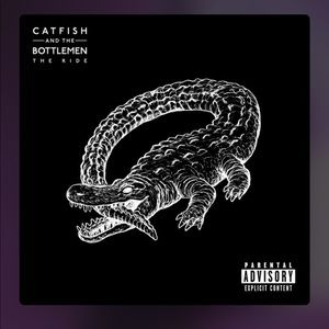 Meet your Posher, Daisy