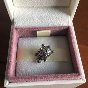 Pandora Turtle